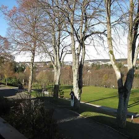 Appartement David *