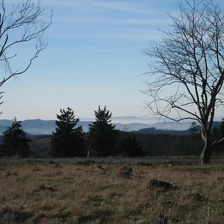 David * 빈터베르크