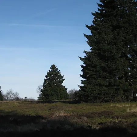 David Apartamento Winterberg