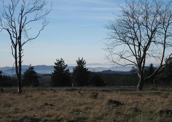 David * 빈터베르크