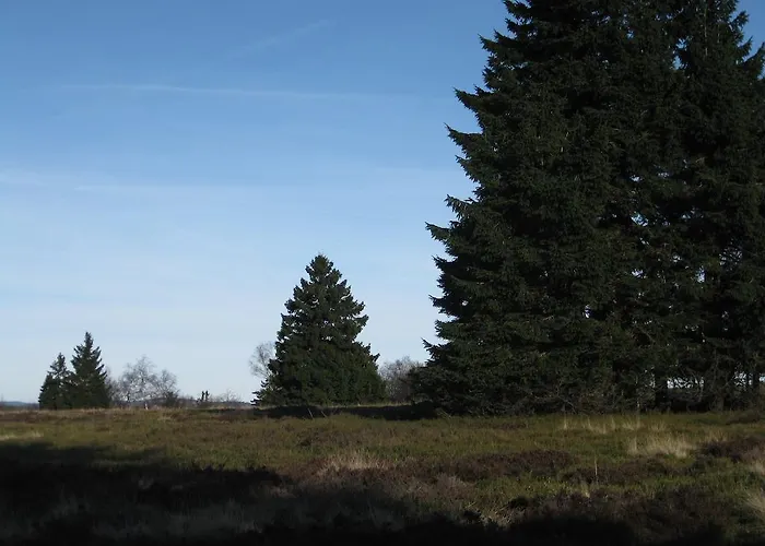 David 아파트 빈터베르크